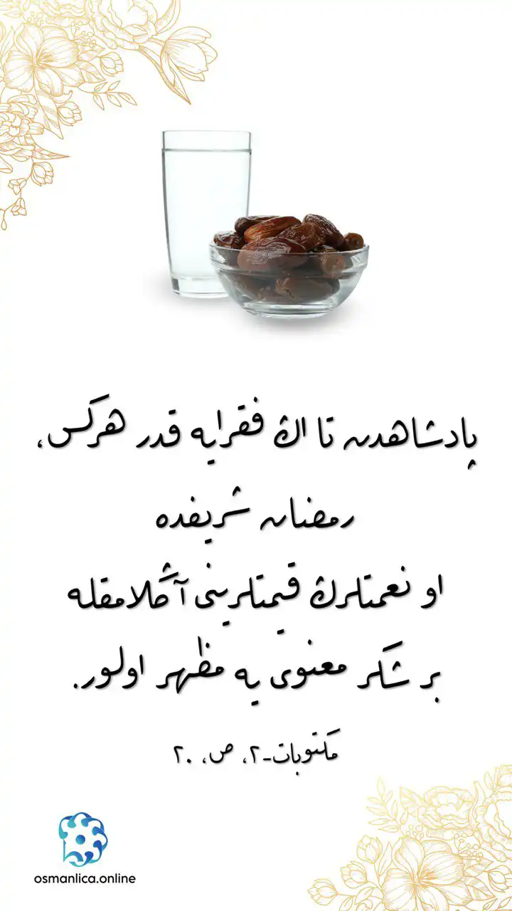 Vecize